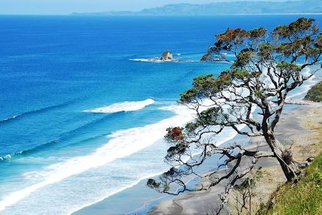Bay of Plenty Region