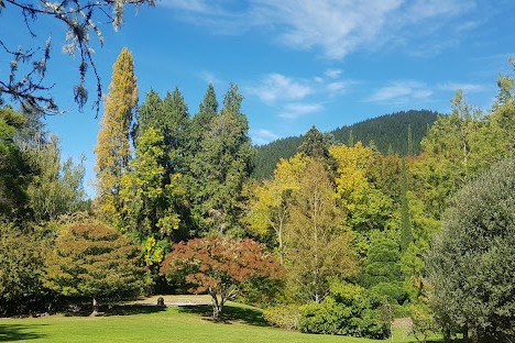 Bay of Plenty Region