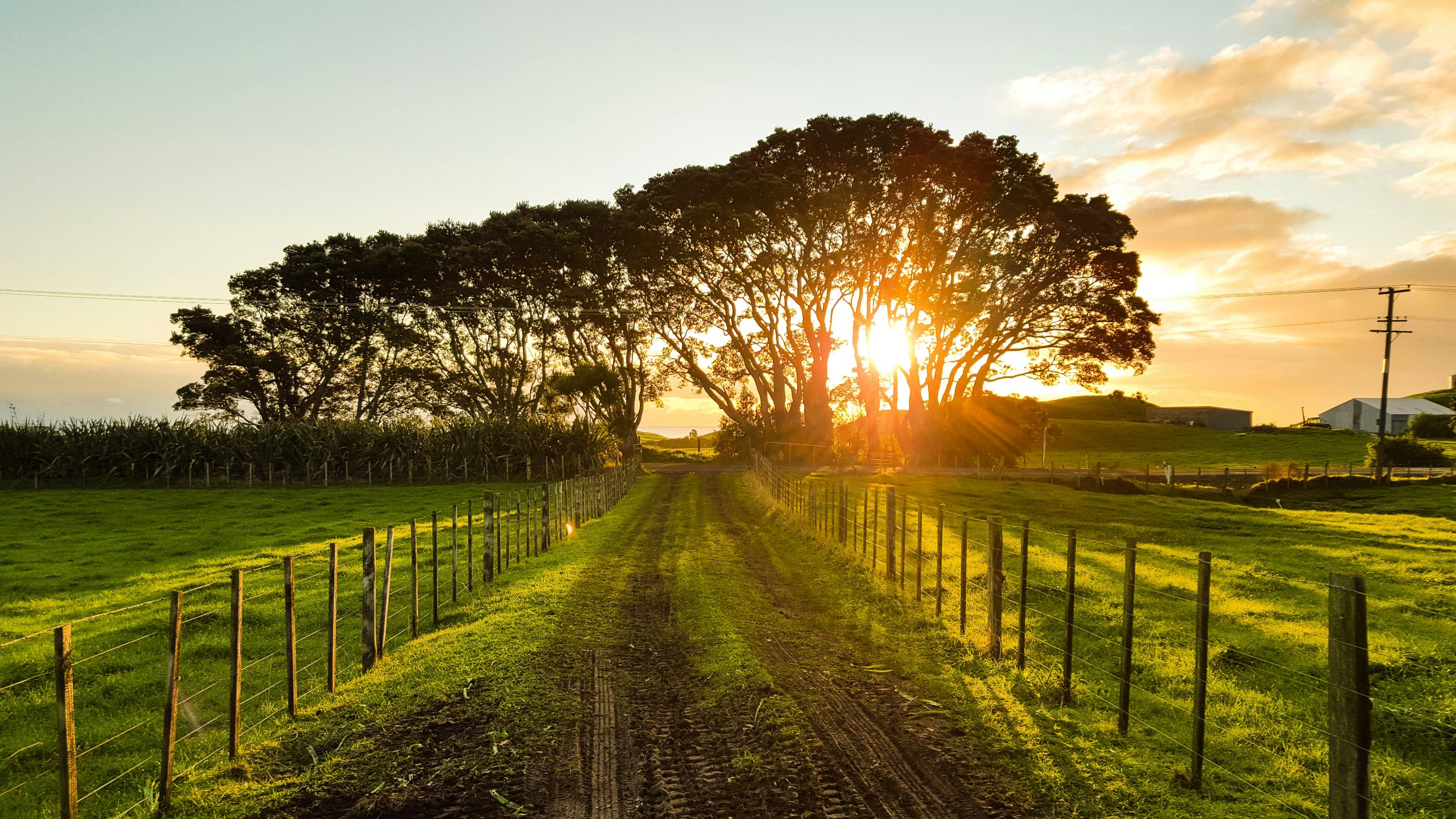 Bay of Plenty Region